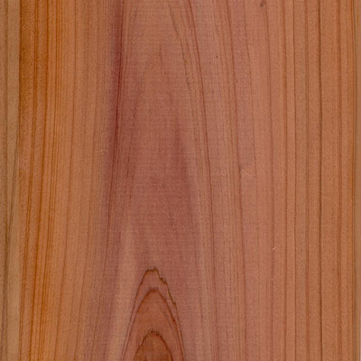 Cedar wood lumber