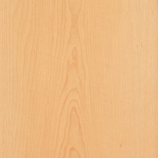 Maple Wood Lumber - information by FLORIDA TEAK