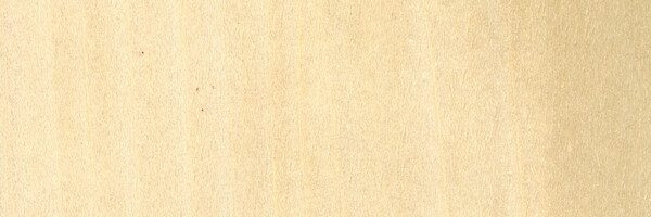 Poplar Wood Lumber